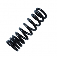 Rear shock absorber spring