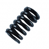 Rear shock absorber spring